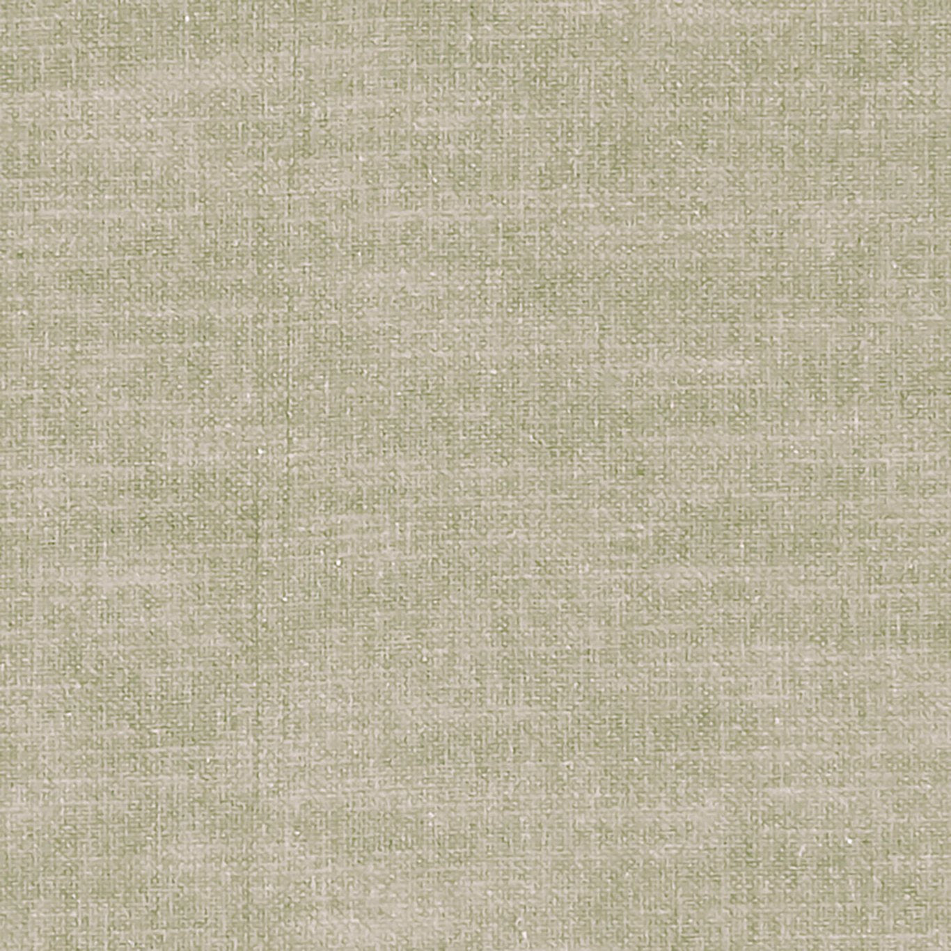 Amalfi Fabric by Clarke & Clarke - F1239/05 - Birch