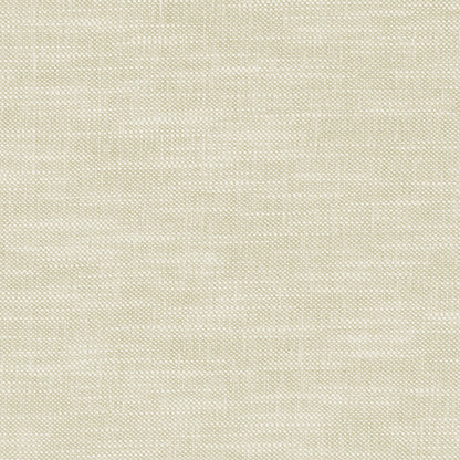 Amalfi Fabric by Clarke & Clarke - F1239/26 - Ghost