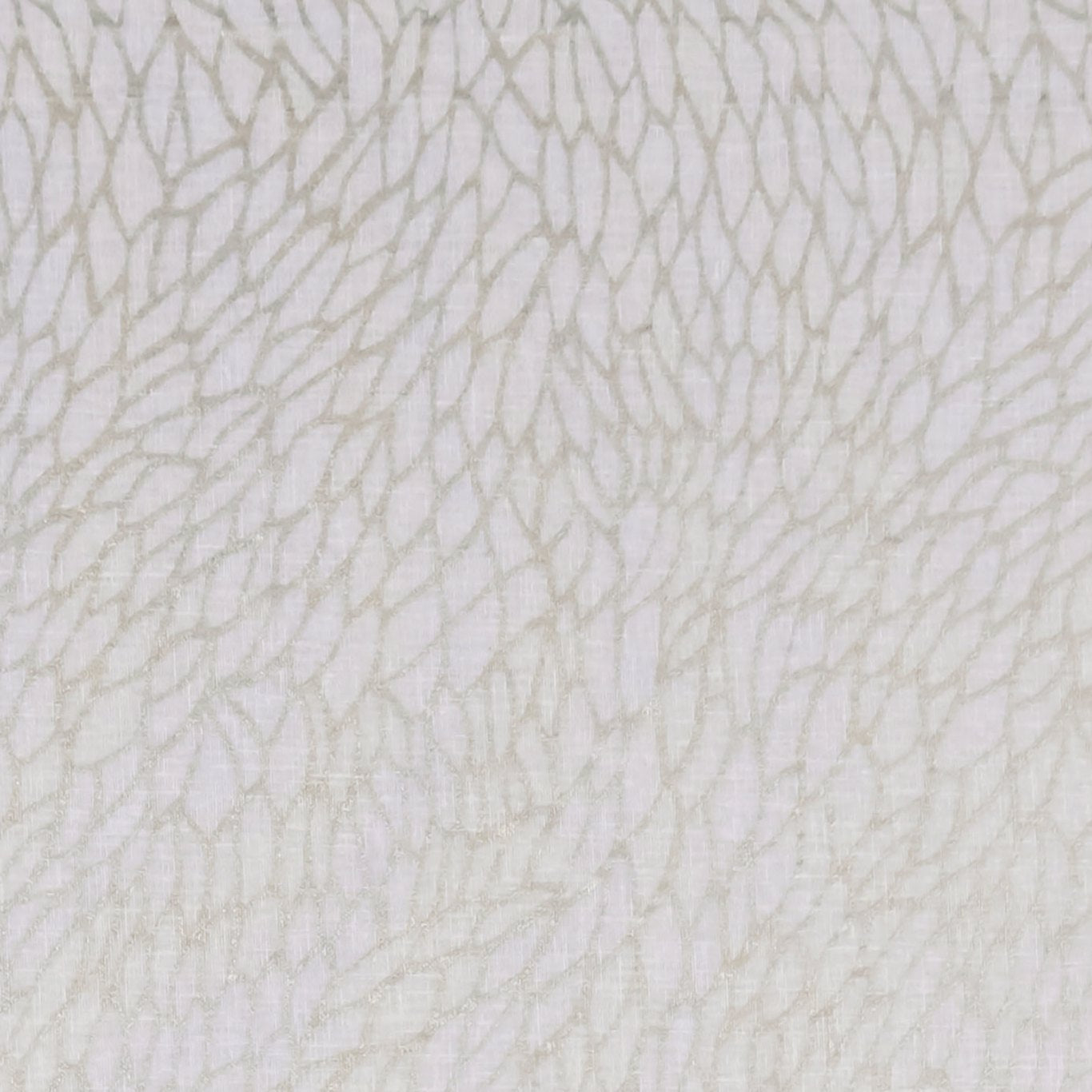 Corallino Sheer Fabric by Clarke & Clarke - F1278/02 - Champagne/Gold