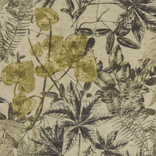 Madagascar Fabric by Clarke & Clarke