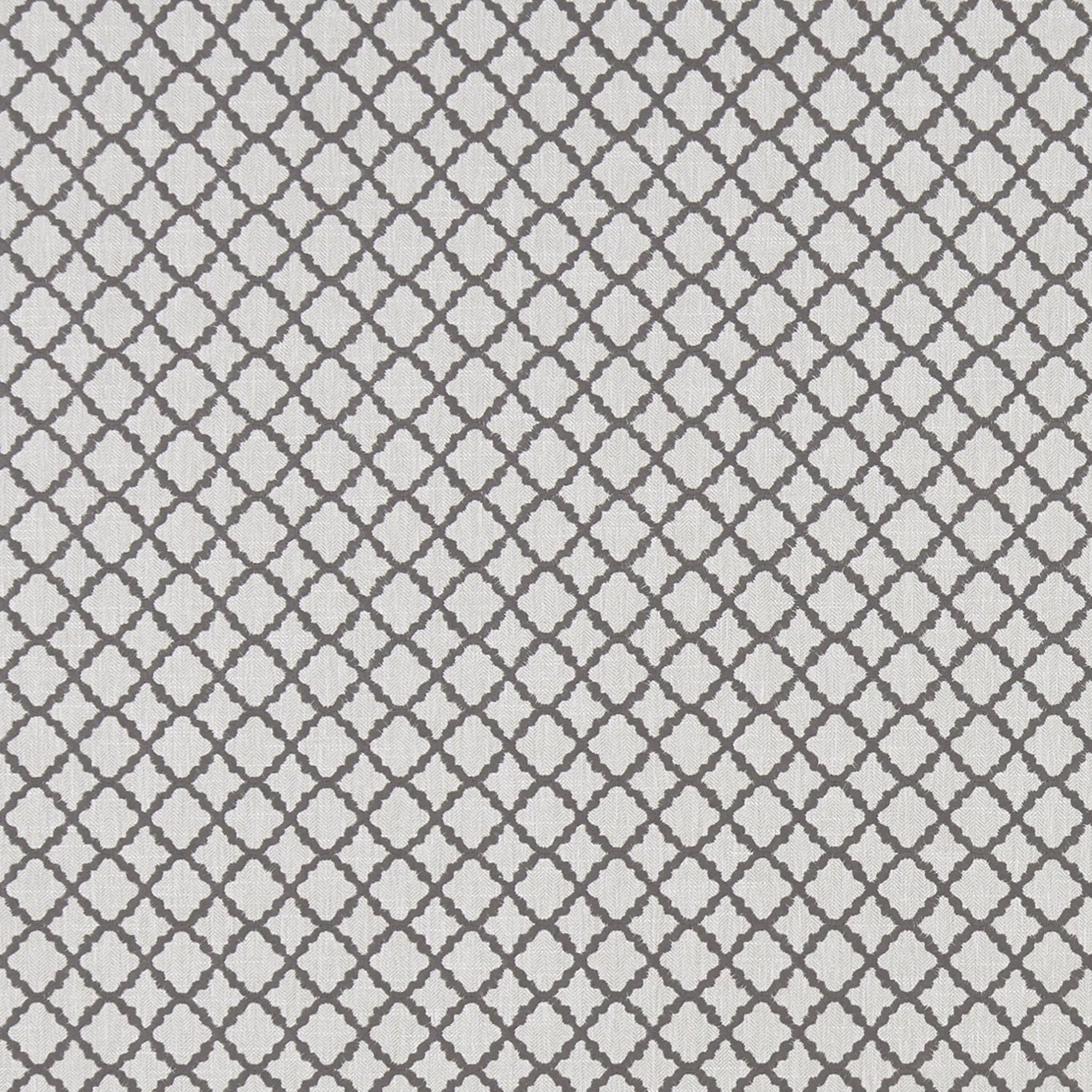Ariyana Fabric by Clarke & Clarke - F1364/02 - Charcoal