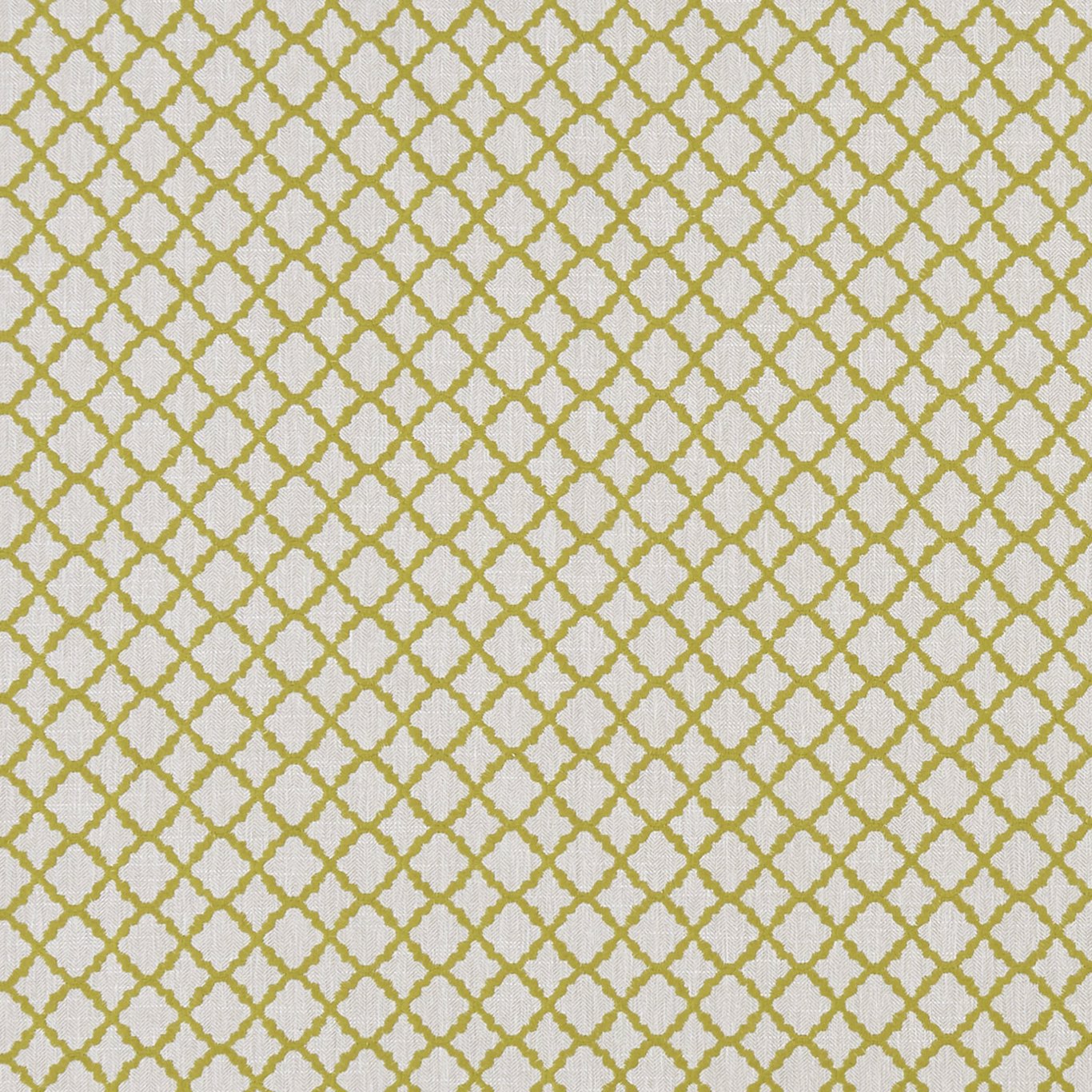 Ariyana Fabric by Clarke & Clarke - F1364/03 - Chartreuse