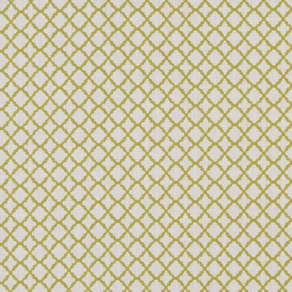 Ariyana Fabric by Clarke & Clarke - F1364/03 - Chartreuse