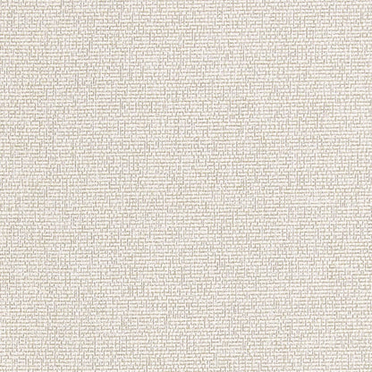 Acies Fabric by Clarke & Clarke - F1416/04 - Dove