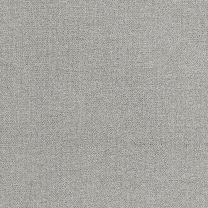 Acies Fabric by Clarke & Clarke - F1416/08 - Silver
