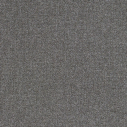 Acies Fabric by Clarke & Clarke - F1416/09 - Acies Smoke