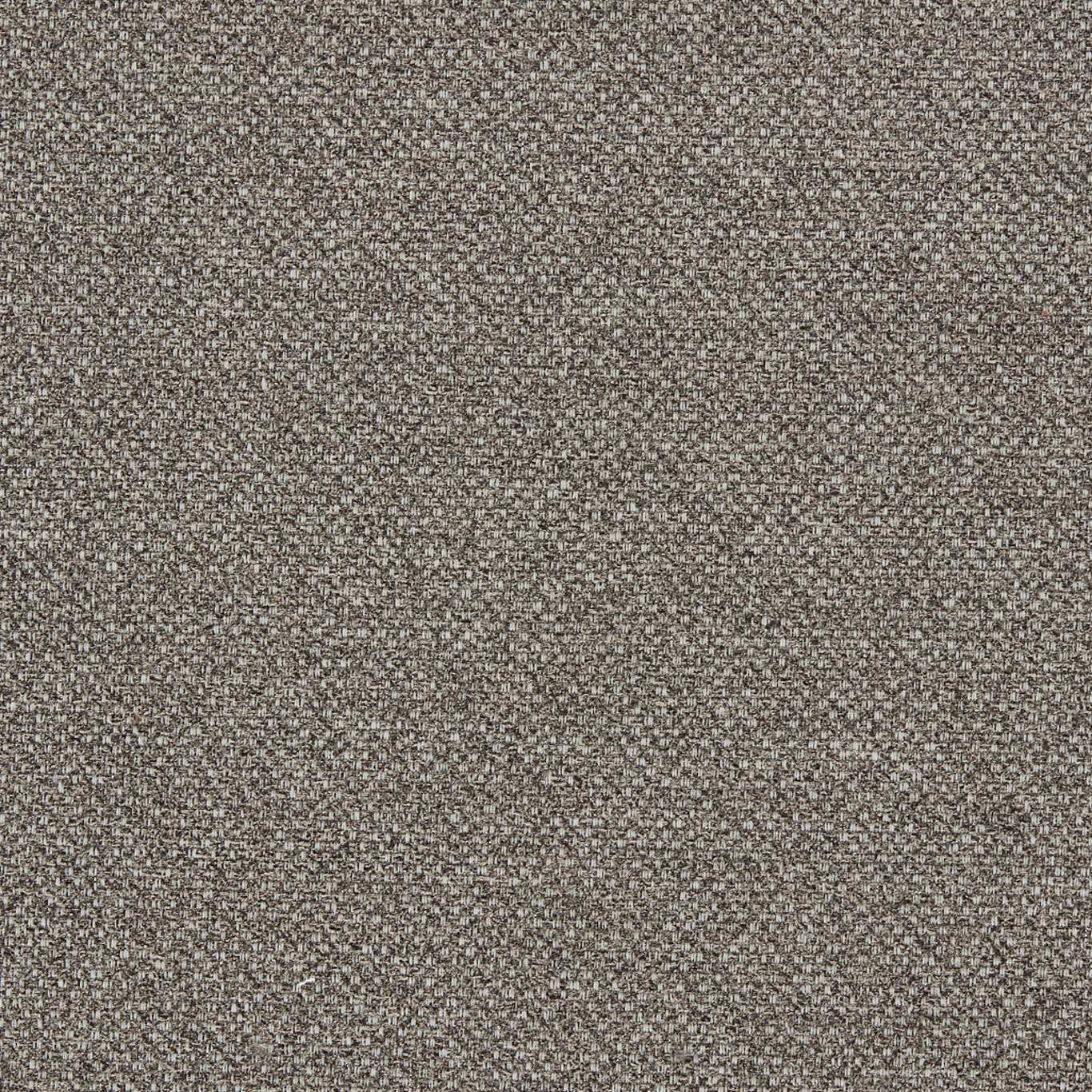 Filum Fabric by Clarke & Clarke