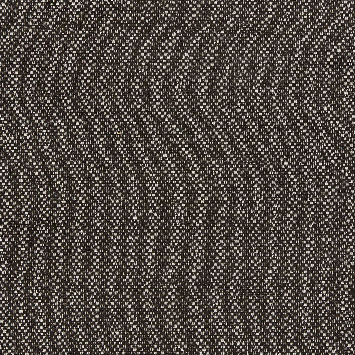 Filum Fabric by Clarke & Clarke