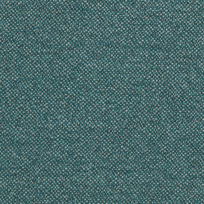 Filum Fabric by Clarke & Clarke