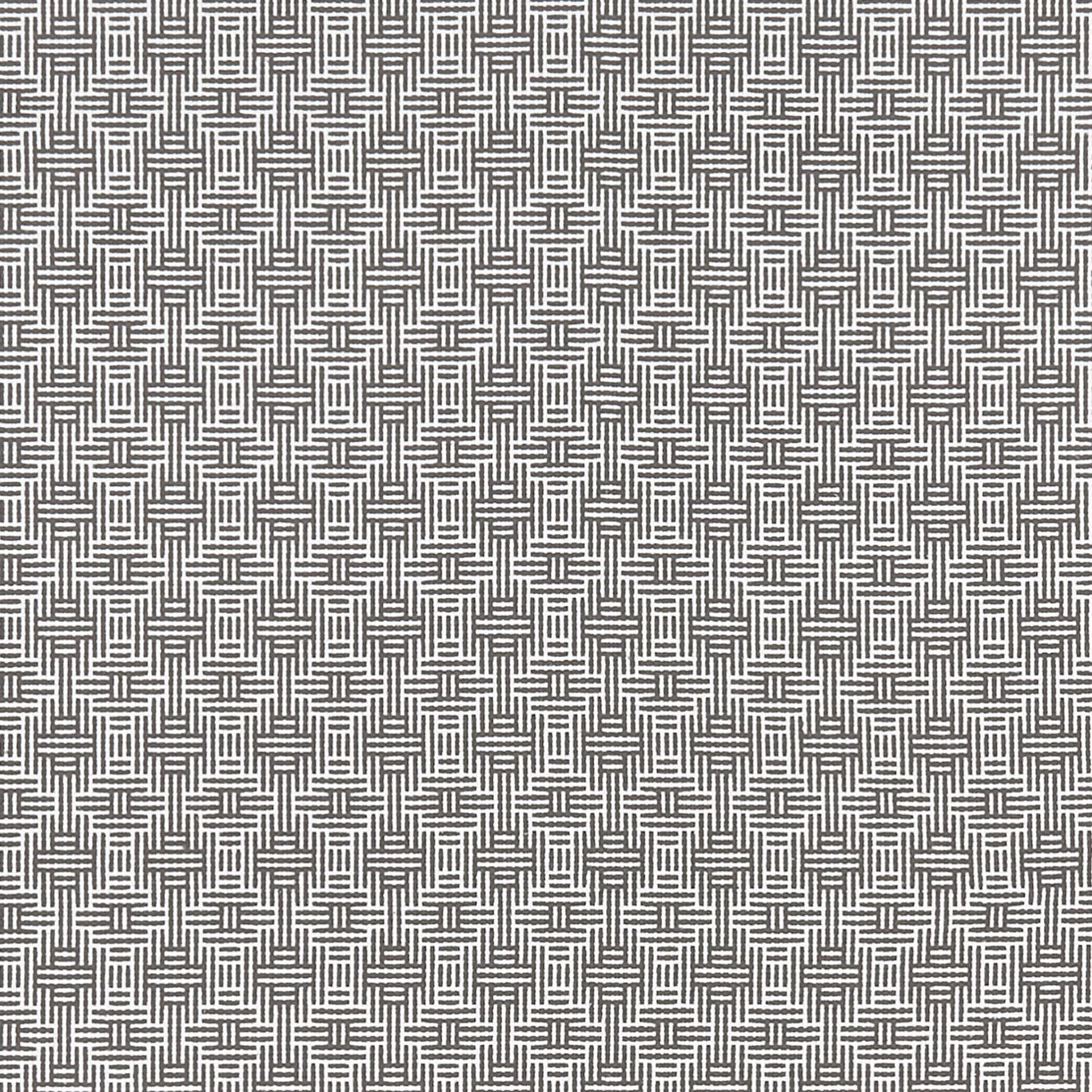 Aztec Fabric by Clarke & Clarke - F1438/01 - Charcoal