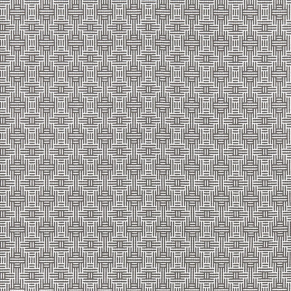 Aztec Fabric by Clarke & Clarke - F1438/01 - Charcoal