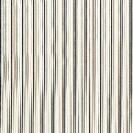 Maryland Fabric by Clarke & Clarke