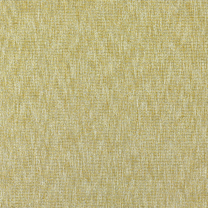 Avani Fabric by Clarke & Clarke - F1527/03 - Chartreuse