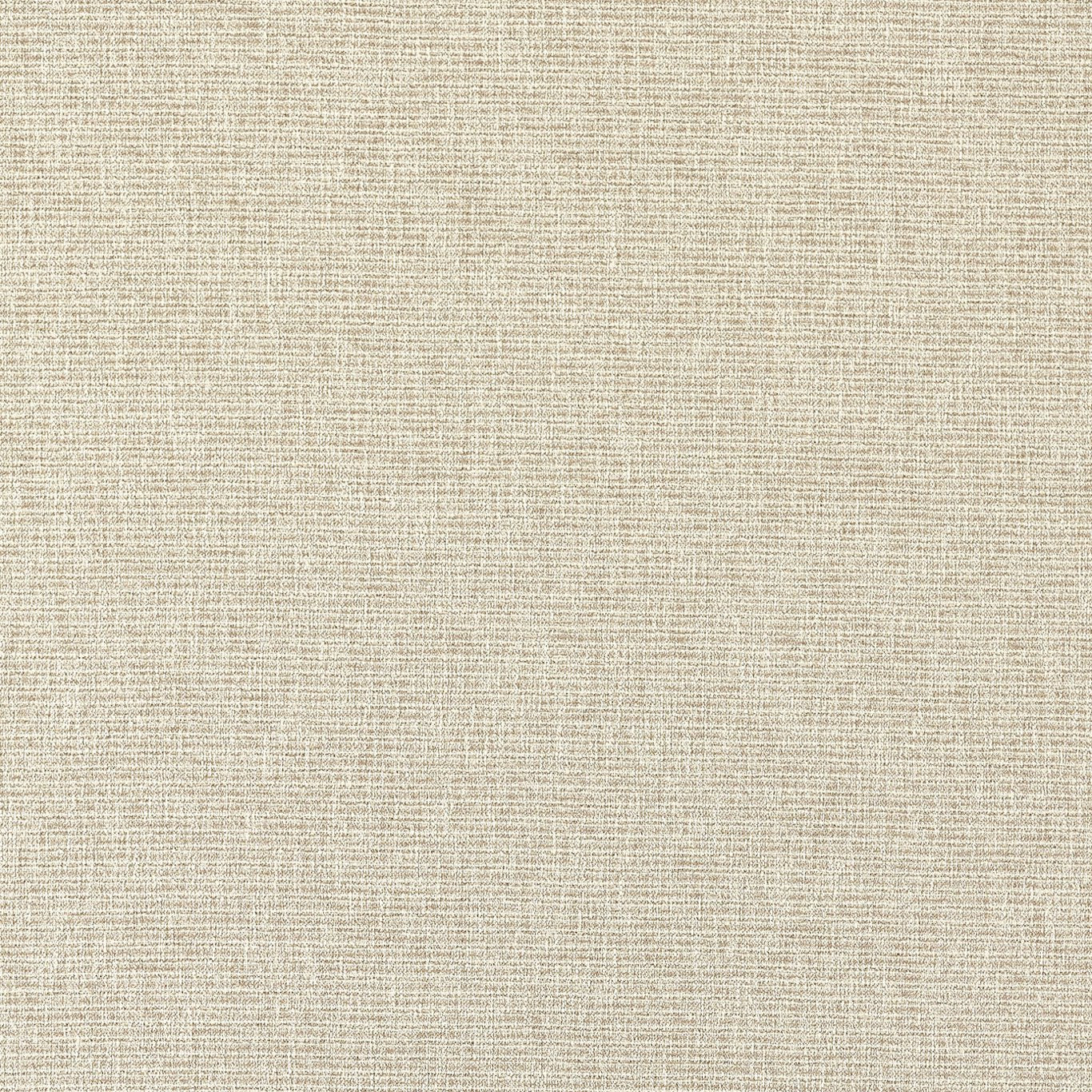 Avani Fabric by Clarke & Clarke - F1527/05 - Linen