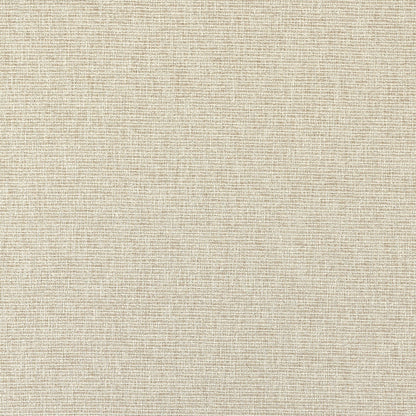 Avani Fabric by Clarke & Clarke - F1527/05 - Linen
