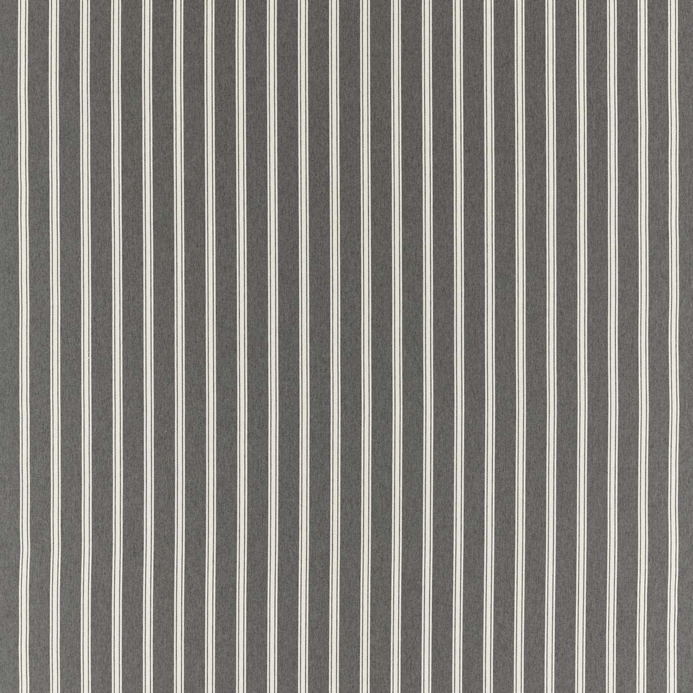 Anderson Fabric by Clarke & Clarke - F1567/01 - Charcoal