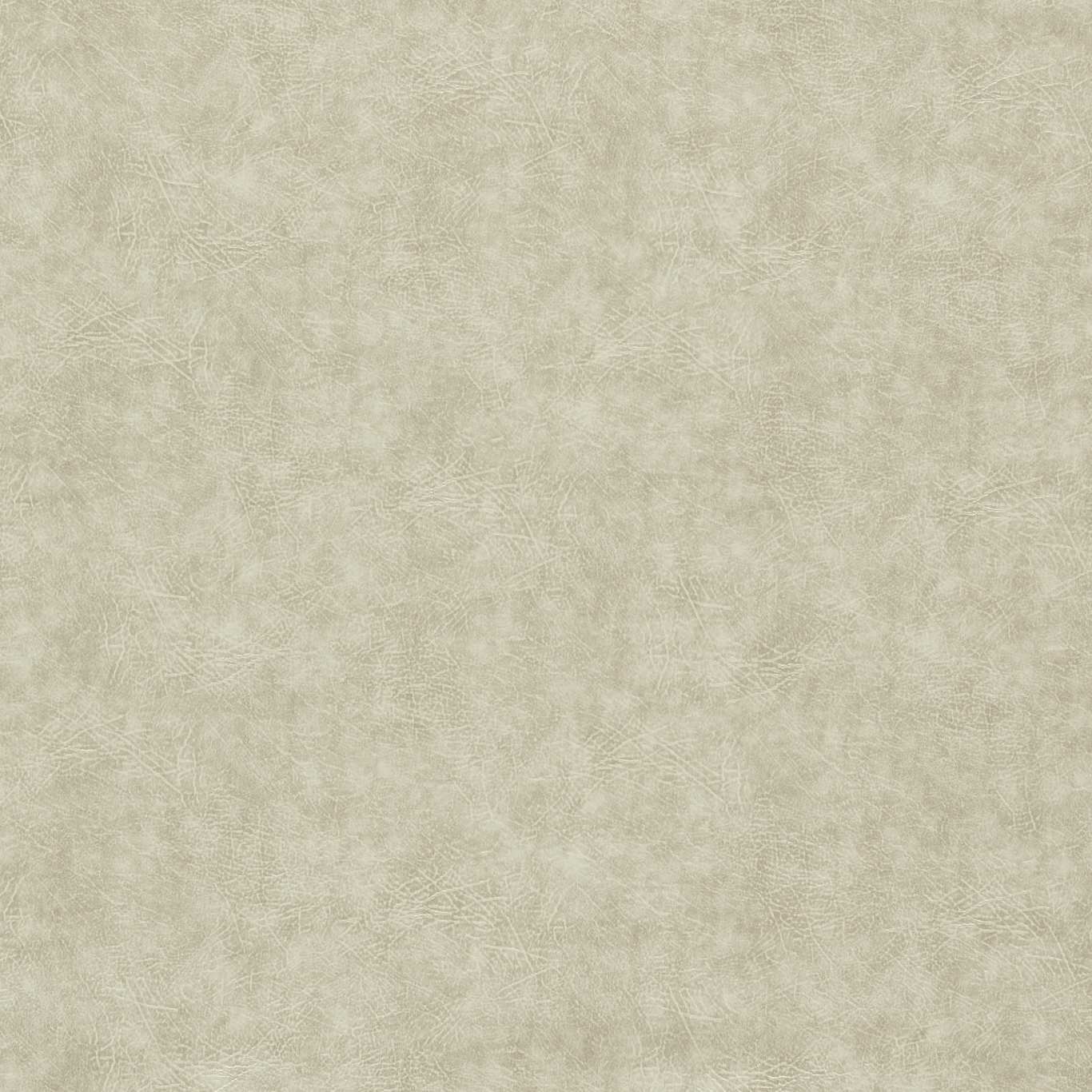 Dawson Natural Fabric by Clarke & Clarke - F1598/10 - Plains & Textures