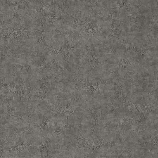 Dawson Stone Fabric by Clarke & Clarke - F1598/17 - Plains & Textures