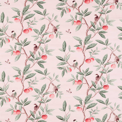 Ella Fabric by Harlequin - HDHP121112 - Powder/ Sage / Peach