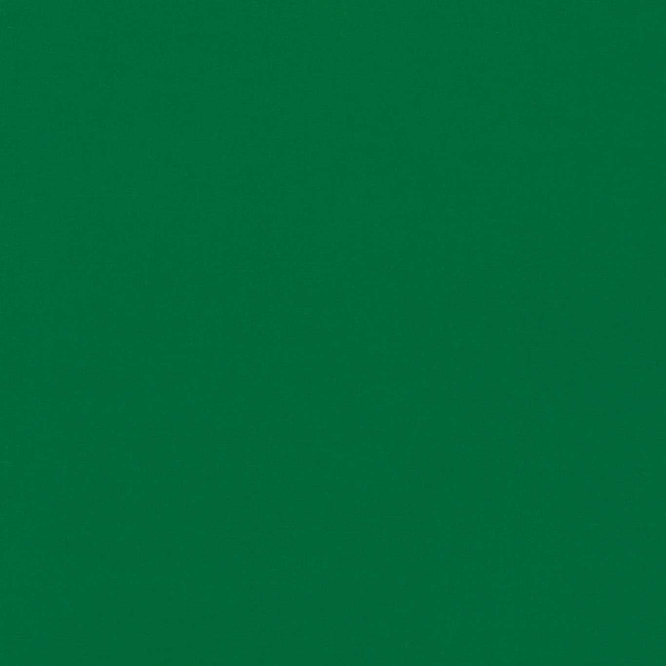 Empower Plain Fabric by Harlequin - HMOC133588 - Bottle Green