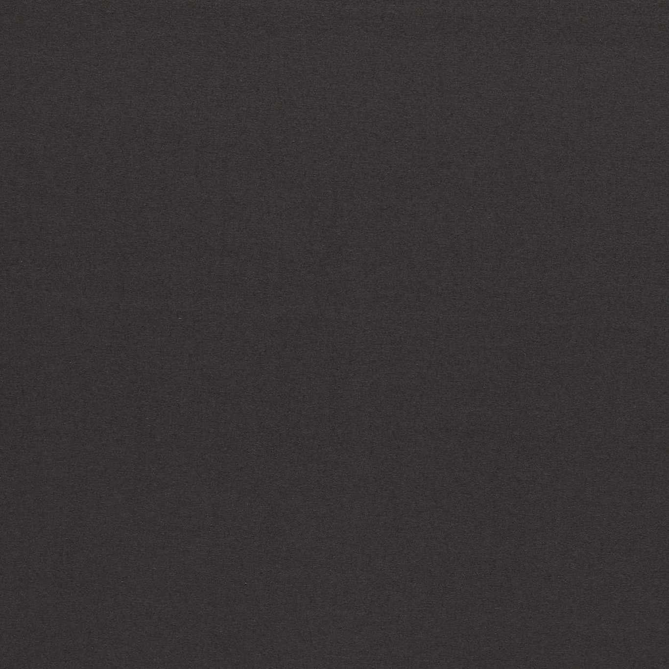 Empower Plain Fabric by Harlequin - HMOC133620 - Black Earth