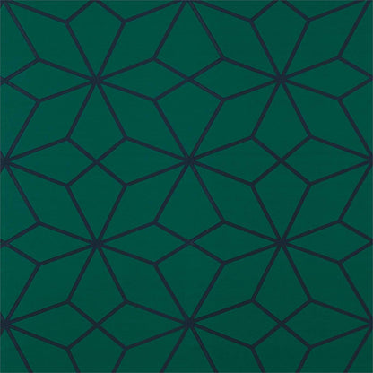 Axal Fabric by Harlequin - HMTE132777 - Axal Emerald