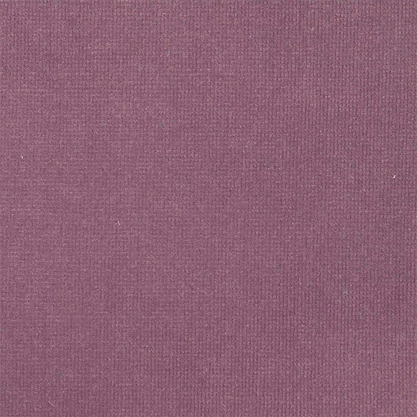 Plush Velvet Fabric by Harlequin