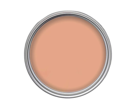 Morris & Co Spring Thicket Dawn Paint